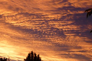 Christchurch sunset
